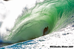 thumb_Will_secretwave09 