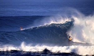 Will-in-the-bowl