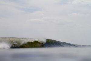 IMG 7289